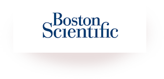 Logo: Boston